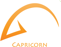 Capricorn (December 22 — January 20)